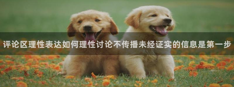 网络最新爆料