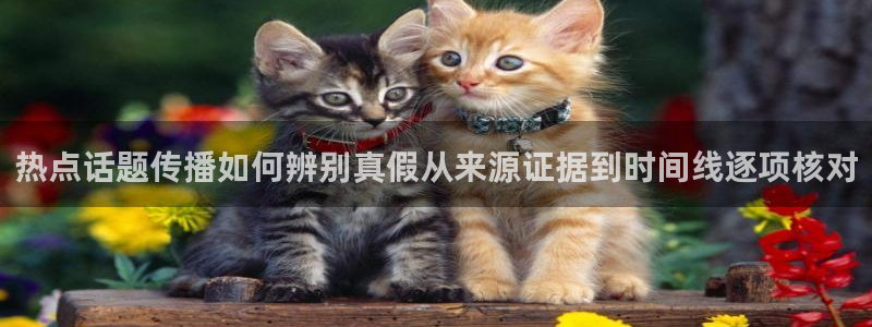 黑料每日热点