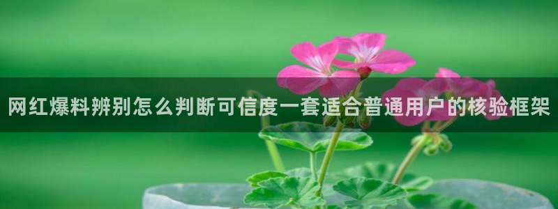 网络热点资讯